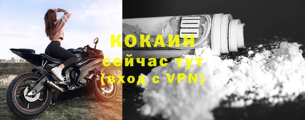 дмт Снежногорск