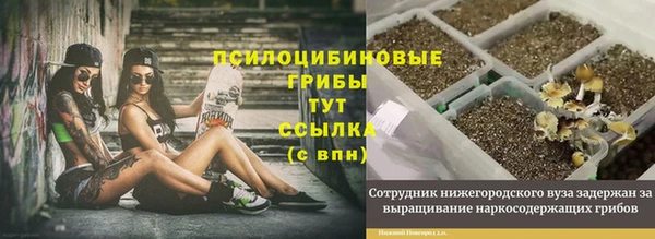дмт Снежногорск